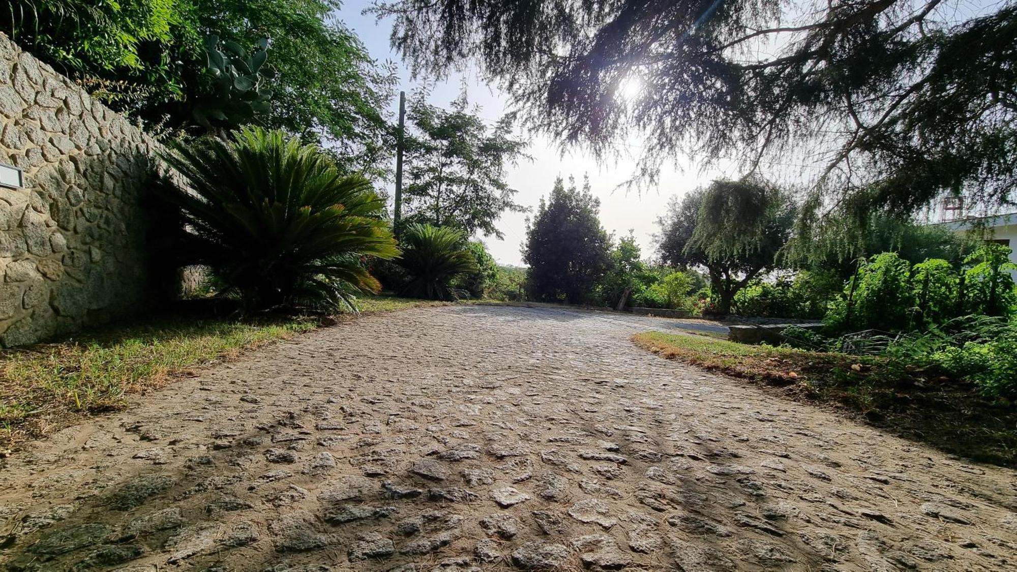 טרופאה Villa Eugenia מראה חיצוני תמונה