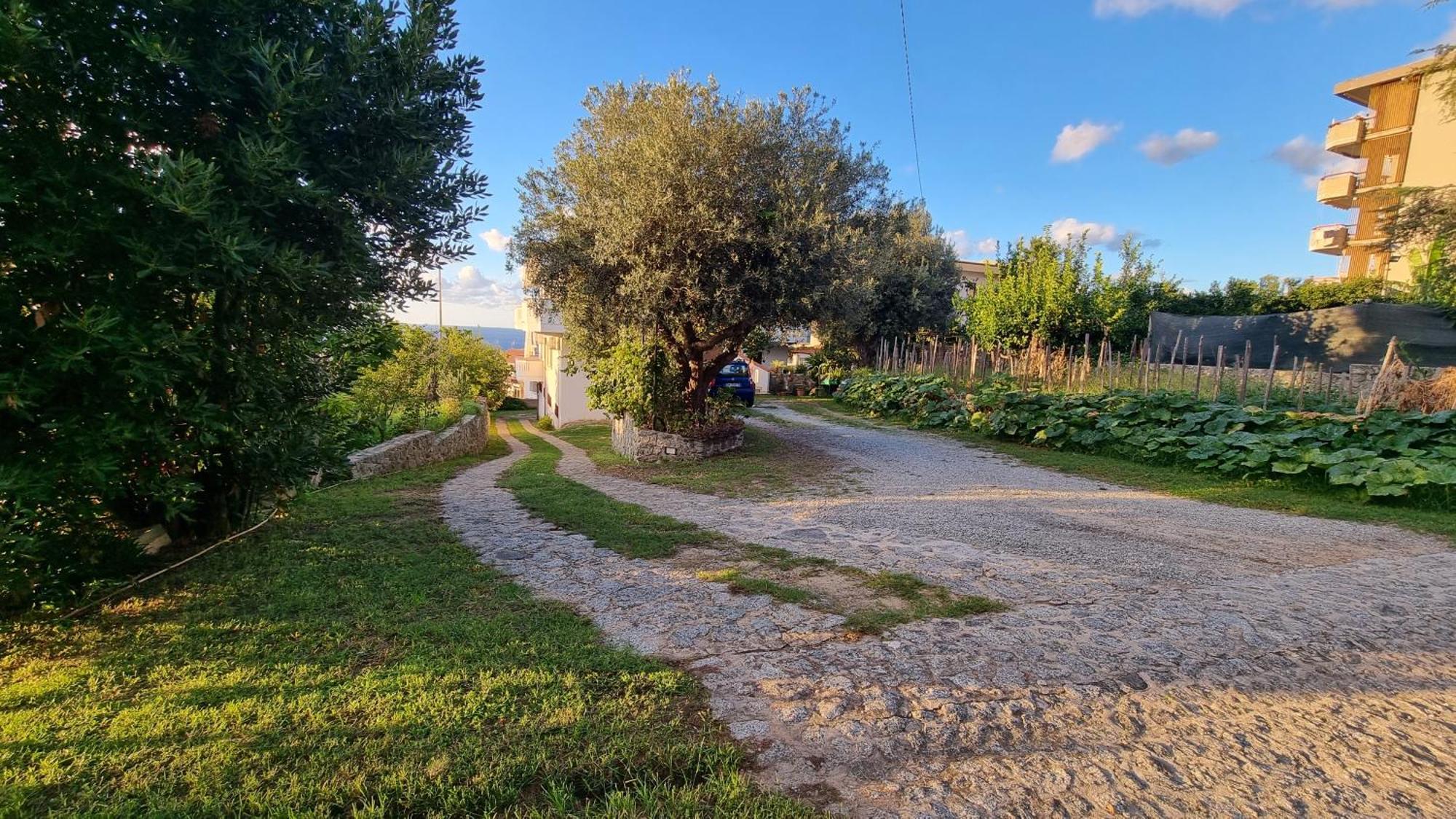 טרופאה Villa Eugenia מראה חיצוני תמונה